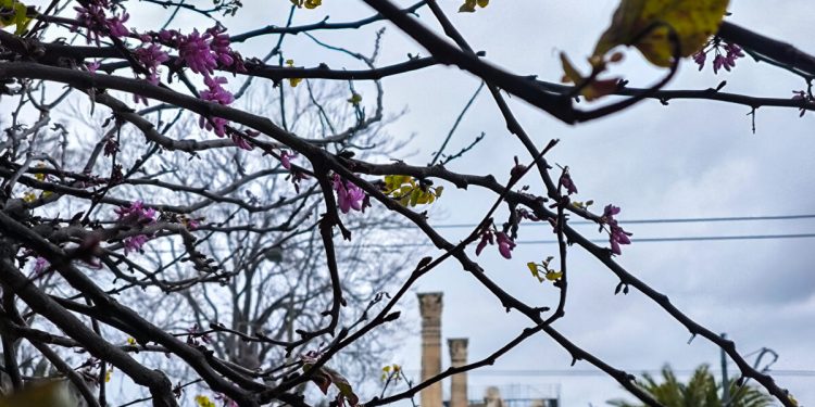 Καιρός-σήμερα:-Ανεβαίνει-η-θερμοκρασία-για-την-Κυριακή-του-Πάσχα-–-Συννεφιά-και-τοπικές-βροχές-σε-πολλές-περιοχές