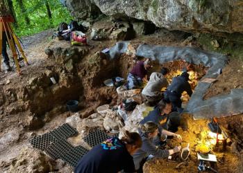 Γενετική-ομοιομορφία-των-ύστερων-Νεάντερταλ-ίσως-οδήγησε-στην-εξαφάνισή-τους,-αποκαλύπτει-μελέτη-Ελληνίδας-ερευνήτριας
