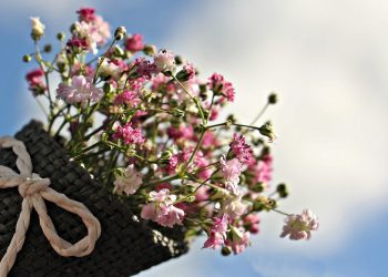 Εορτολόγιο:-Ποιοι-γιορτάζουν-σήμερα-13-Απριλίου,-Δευτέρα-του-Πάσχα