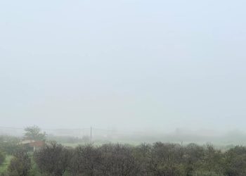 Εντυπωσιακό-φαινόμενο-στη-Σπάρτη:-Πυκνή-ομίχλη-«εξαφάνισε»-τον-Ταΰγετο