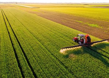 Το-μέλλον-του-νερού-και-η-επανάσταση-στην-παραγωγή-τροφής-χωρίς-σπατάλη-υδάτων