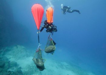 Εντυπωσιακά-αρχαιολογικά-ευρήματα-από-τον-7ο-αιώνα-πΧ.-στον-βυθό-της-Καρπάθου,-δείτε-φωτογραφίες