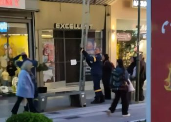 Λάρισα:΄eσπευσε-η-Πυροσβεστική-για-να-σώσει-γατάκι-στο-κέντρο-της-πόλης…-Τελικά-κατέβηκε-μόνο-του!-(ΦΩΤΟ)