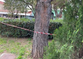 Κεφαλονιά:-Προηγήθηκε-χρήση-κοκαΐνης-πριν-από-τον-θάνατο-της-19χρονης,-σύμφωνα-με-πληροφορίες