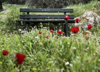 Η-άχρηστη-πληροφορία-της-ημέρας-22/1/2025