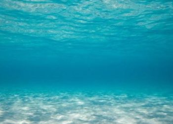 Ο-ωκεανός-της-Φλόριντα-εκπέμπει-sos:-Τι-κρύβει-το-ρεύμα-που-μπορεί-να-αλλάξει-το-κλίμα-της-Γης;