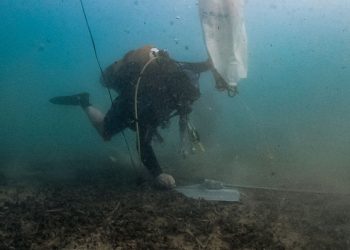 Από-τη-θεωρία-στη-θάλασσα:-Αγκυροβόλια-στο-Πόρτο-Ράφτη-για-την-προστασία-των-λιβαδιών-Ποσειδωνίας