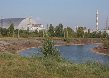 Τσερνόμπιλ:-Καλλιεργούσαν-για-χρόνια-καλαμπόκι-και-σιτάρι-στη-Ζώνη-Αποκλεισμού