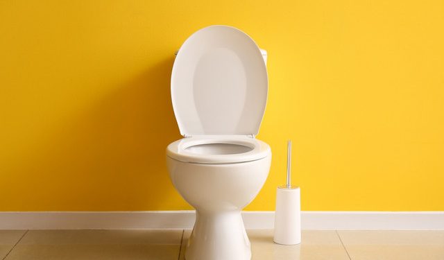 Είναι-οι-συνήθειες-σας-στην-τουαλέτα-φυσιολογικές;-Γιατρός-του-Χάρβαρντ-μιλά-για-όσα-«δυσκολεύεστε»-να-ρωτήσετε
