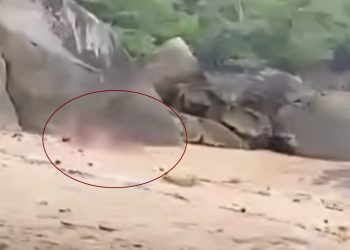 Ταϊλάνδη:-Οργή-για-ζευγάρι-Γάλλων-τουριστών-που-έκανε-σεξ-σε-παραλία-–-«Ήταν-σαν-ζώα»