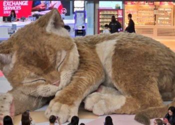 «Γάτα»-8-μέτρων-τοποθετήθηκε-στο-αεροδρόμιο-του-Χονγκ-Κονγκ-–-Γουργουρίζει,-κουνά-ουρά,-αυτιά-και-μπορείς-να-την-«ταΐσεις»