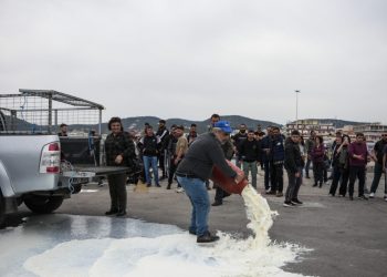 Μυτιλήνη:-Κλιμακώνουν-τις-κινητοποιήσεις-τους-οι-κτηνοτρόφοι-–-Ανεστάλησαν-δρομολόγια-πλοίων,-πλήγμα-για-τον-τουρισμό