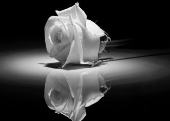 Απεβίωσε-ο-Βάιος-Μπακάλης