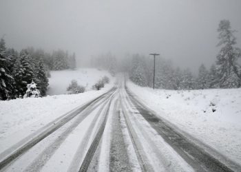 Η-άχρηστη-πληροφορία-της-ημέρας-4/2/2026