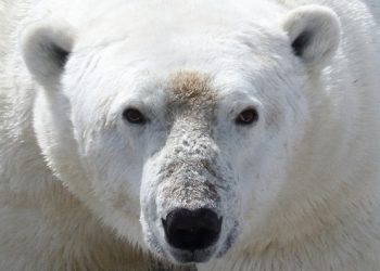 Η-άχρηστη-πληροφορία-της-ημέρας-15/12/2025