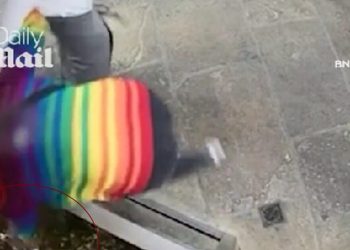 Βρετανία:-Ακτιβίστρια-έκλεψε-αστακό-από-εστιατόριο-και-τον-απελευθέρωσε-στη-θάλασσα-–-Αποδείχτηκε-ότι-ήταν-κατοικίδιο-του-ιδιοκτήτη