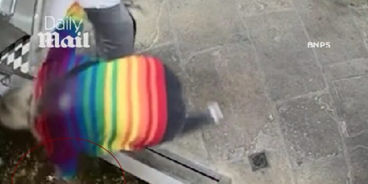 Βρετανία:-Ακτιβίστρια-έκλεψε-αστακό-από-εστιατόριο-και-τον-απελευθέρωσε-στη-θάλασσα-–-Αποδείχτηκε-ότι-ήταν-κατοικίδιο-του-ιδιοκτήτη