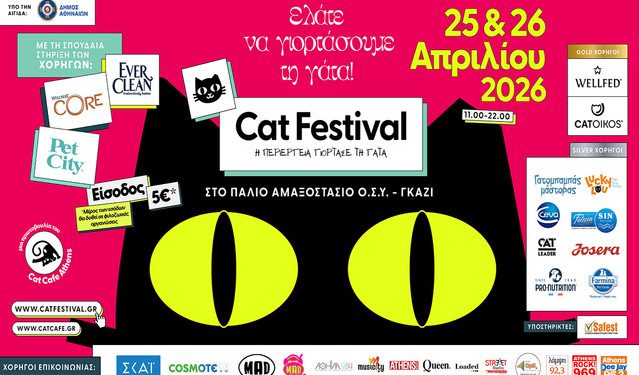 cat-festival-2026:-Η-περιέργεια-γιορτάζει-τη-γάτα
