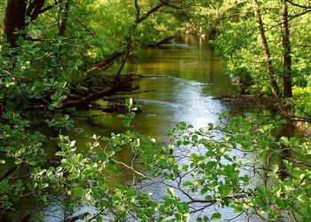 Παγκόσμιος-«χάρτης»-ποταμών-αποκαλύπτει-75-χρόνια-ανθρώπινης-και-κλιματικής-επίδρασης