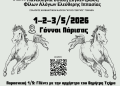 12η-πανελλήνια-ιππική-συνάντηση-φίλων-αλόγων-ελεύθερης-ιππασίας-στους-Γόννους-Λάρισας