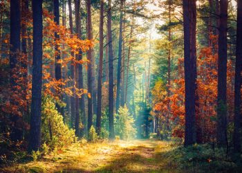 Η-άχρηστη-πληροφορία-της-ημέρας-5/3/2026