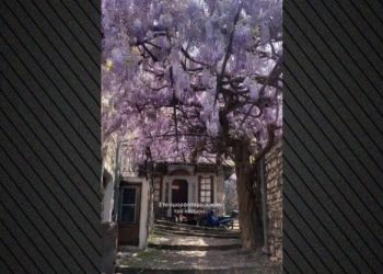 Πού-βρίσκεται-το-μωβ-σοκάκι-της-Ελλάδας-που-έχει-μαγέψει-τους-επισκέπτες