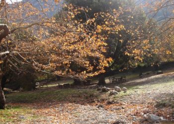 Περιοχές-natura-και-πολεοδομικός-σχεδιασμός:-Οι-πέντε-όροι-για-περιορισμένη-επέκταση-σχεδίων-πόλης