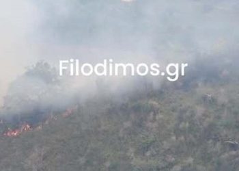 Φωτιά-στο-Αίγιο-σε-ορεινή-περιοχή-κοντά-στο-χωριό-Αρραβωνίτσα