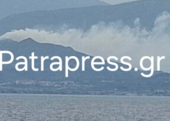 Φωτιά-στο-Αίγιο,-μεγάλη-κινητοποίηση-της-Πυροσβεστικής