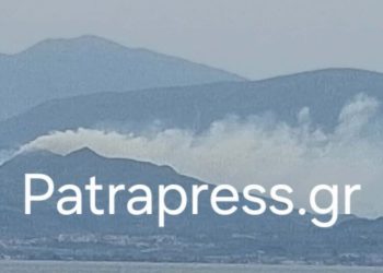 Αχαΐα:-Σύλληψη-ενός-άνδρα-για-τη-φωτιά-στα-Σελινιάτικα