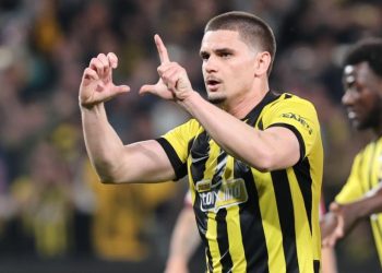 Η-αφιέρωση-του-Μαρίν-στον-Μιρτσέα-Λουτσέσκου