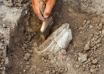 Σπάνιο-αρχαιοελληνικό-νόμισμα-του-3ου-αιώνα-πΧ.-βρέθηκε-σε-πόλη-του-Βερολίνου-από-13χρονο-μαθητή