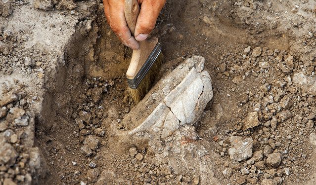 Σπάνιο-αρχαιοελληνικό-νόμισμα-του-3ου-αιώνα-πΧ.-βρέθηκε-σε-πόλη-του-Βερολίνου-από-13χρονο-μαθητή
