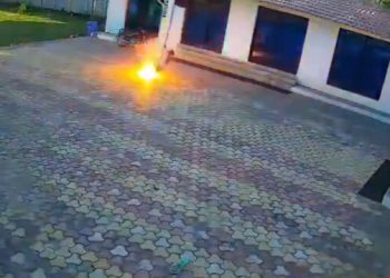 Δείτε-βίντεο:-Άνδρας-καίγεται-ζωντανός-μετά-από-ηλεκτροπληξία-στην-Ινδία,-κυνηγώντας-μια-μαϊμού