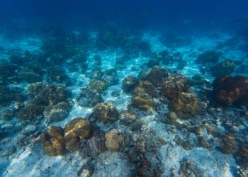 Η-Κίνα-εκδίδει-τον-πρώτο-«Άτλαντα-του-Βυθού»-και-κυριαρχεί-στη-χαρτογράφηση-των-σπάνιων-γαιών