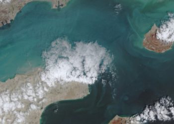 «Εύθραυστη-ισορροπία»-στα-Στενά-του-Ορμούζ:-Το-Ιράν-ανοίγει-τον-δίαυλο,-«αγκάθι»-ο-ναυτικός-αποκλεισμός-των-ΗΠΑ,-επιφυλακτικές-οι-ναυτιλιακές