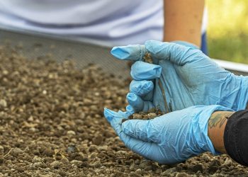 Ακτιβιστές-που-αναζητούν-εξαφανισμένους-ανθρώπους-στο-Μεξικό-ανακάλυψαν-περισσότερα-από-1.000-θραύσματα-οστών-σε-λίμνη