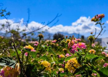 Καιρός:-Ανοιξιάτικη-«ανάσα»-με-ήλιο-και-τοπικές-μπόρες-–-Υποχωρεί-η-σκόνη,-επιστρέφει-η-αστάθεια-μέσα-στην-εβδομάδα