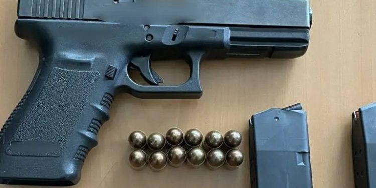 Ο-φόβος-της-κυβέρνησης-Τραμπ-οδηγεί-αριστερούς-Αμερικανούς-να-αγοράζουν-και-να-εκπαιδεύονται-στα-όπλα