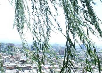 Πόσα-δέντρα-βλέπετε-από-το-μπαλκόνι-σας;-Ο-κανόνας-3-30-300-και-το-«πράσινο»-ταξικό-χάσμα