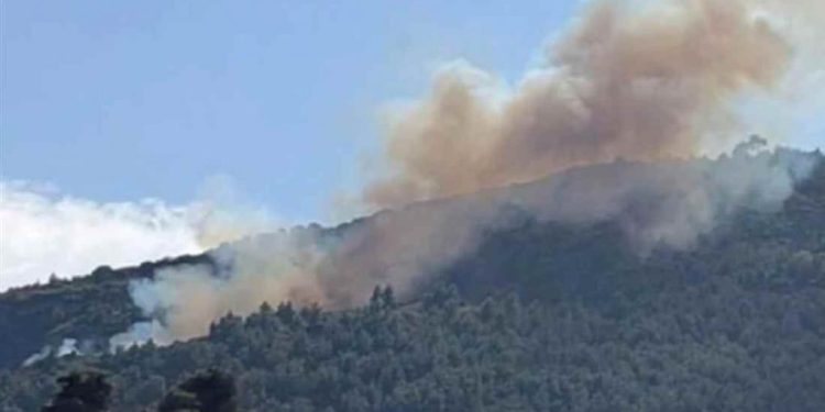 Φωτιά-στην-Αχαΐα,-σε-δασική-έκταση-–-Επιχειρούν-ισχυρές-πυροσβεστικές-δυνάμεις