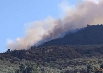 Φωτιά-στην-Άμπελο Αχαΐας-–-Στάλθηκε-112-να-απομακρυνθούν-προς-Ακράτα