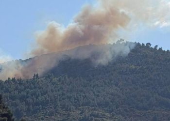 Φωτιά-στον-Άμπελο-Αχαΐας-–-Μεγάλη-κινητοποίηση-της-Πυροσβεστικής-και-μήνυμα-από-το-112