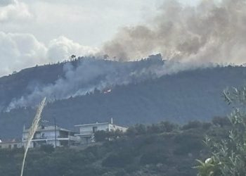 Συνελήφθη-51χρονος-για-την-φωτιά-στην-Ακράτα-–-Σε-ύφεση-το-πύρινο-μέτωπο