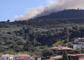 Συνελήφθη-51χρονος-για-τη-φωτιά-στην-Αχαΐα-–-Πήγε-να-κάψει-υπολείμματα-καλλιεργιών