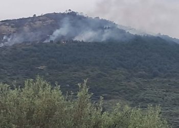 Συνελήφθη-51χρονος-για-τη-φωτιά-στην-Άμπελο-Αχαΐας