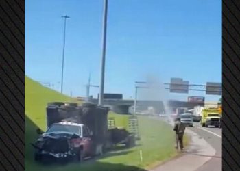 Αναστάτωση-σε-αυτοκινητόδρομο-στο-Τενεσί:-Ανετράπη-φορτηγό-με-1-εκατ.-μέλισσες,-δείτε-βίντεο