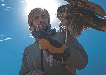 Το-«γεράκι-της-ερήμου»-–-ομπρέλα-του-Ντουμπάι