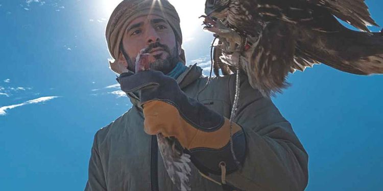 Το-«γεράκι-της-ερήμου»-–-ομπρέλα-του-Ντουμπάι