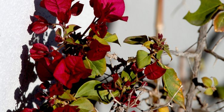 Εορτολόγιο:-Ποιοι-γιορτάζουν-σήμερα,-Κυριακή-19-Απριλίου